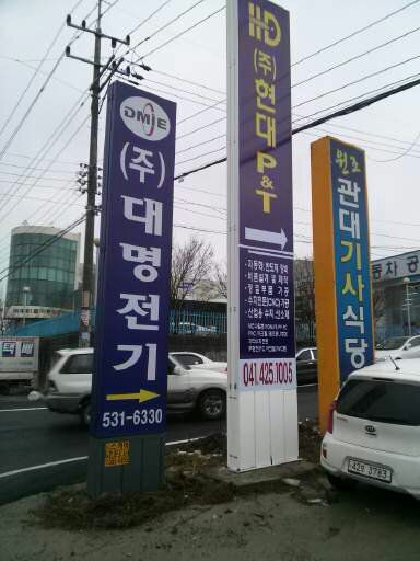 지주간판