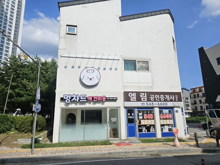 멍차드애견미용전문
