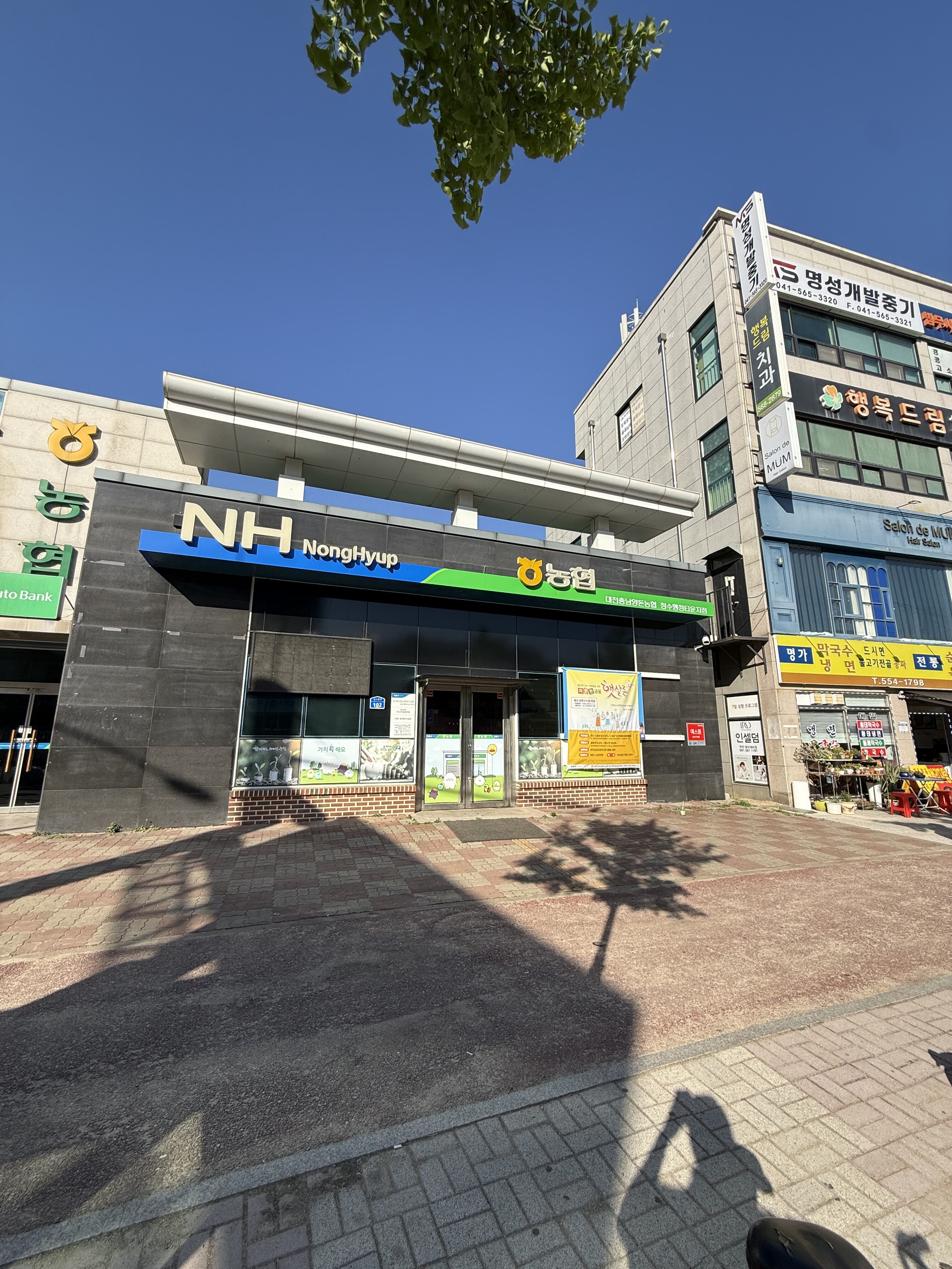 대전양돈농협-청수행정타운지점