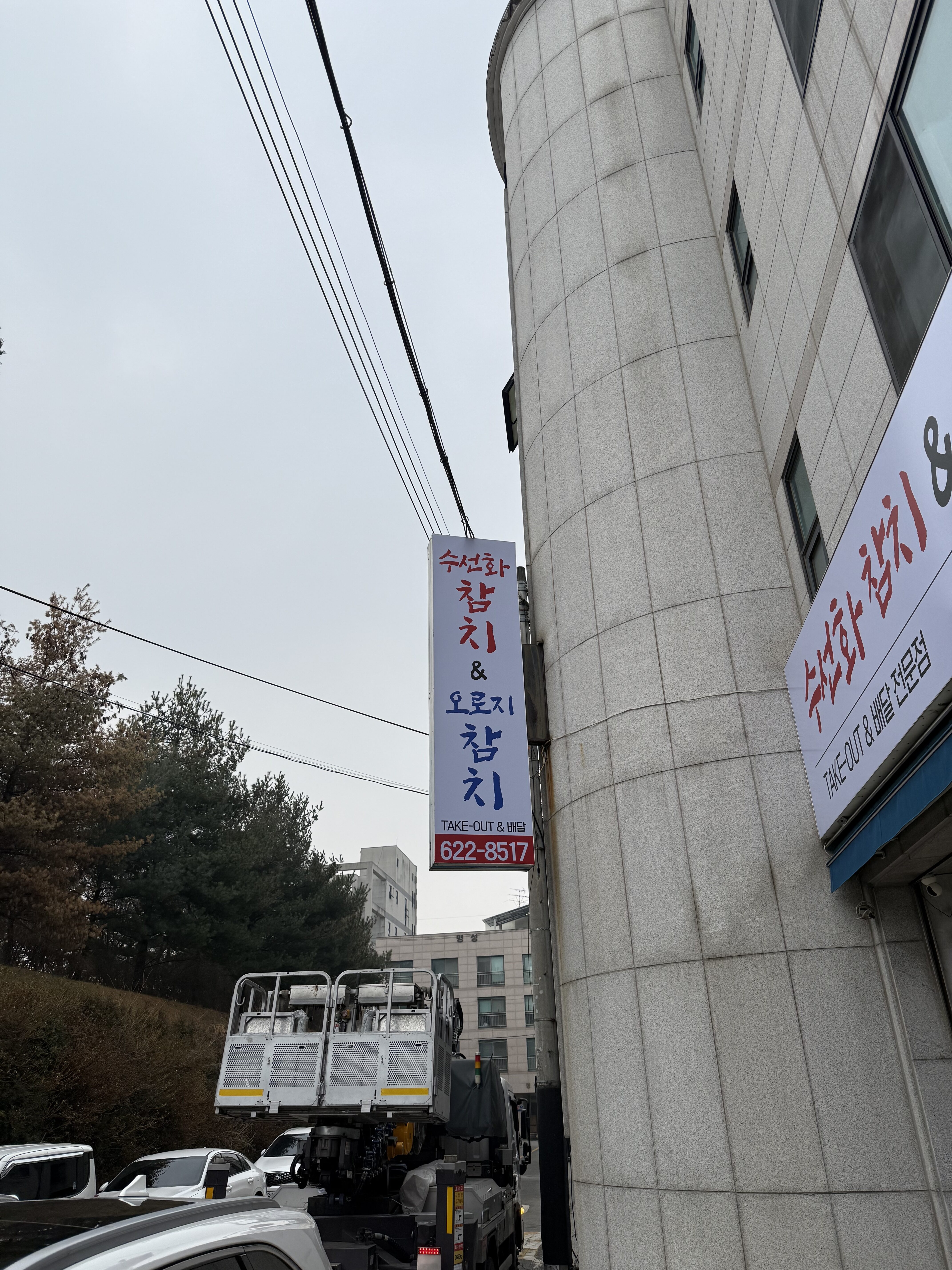 수선화참치&오로지참치
